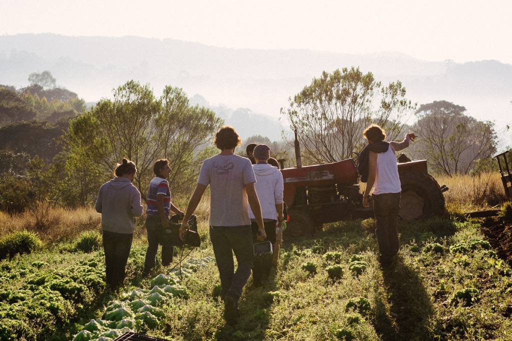 Tomás e outros em uma fazenda parceira da Raízs, em Ibiuná.