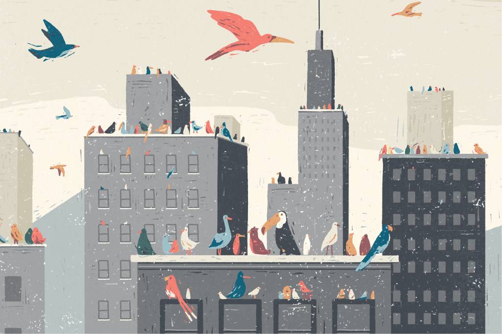 SA283_MAT CAPA_8 Ilustração do skyline de Nova York com pássaros brasileiros